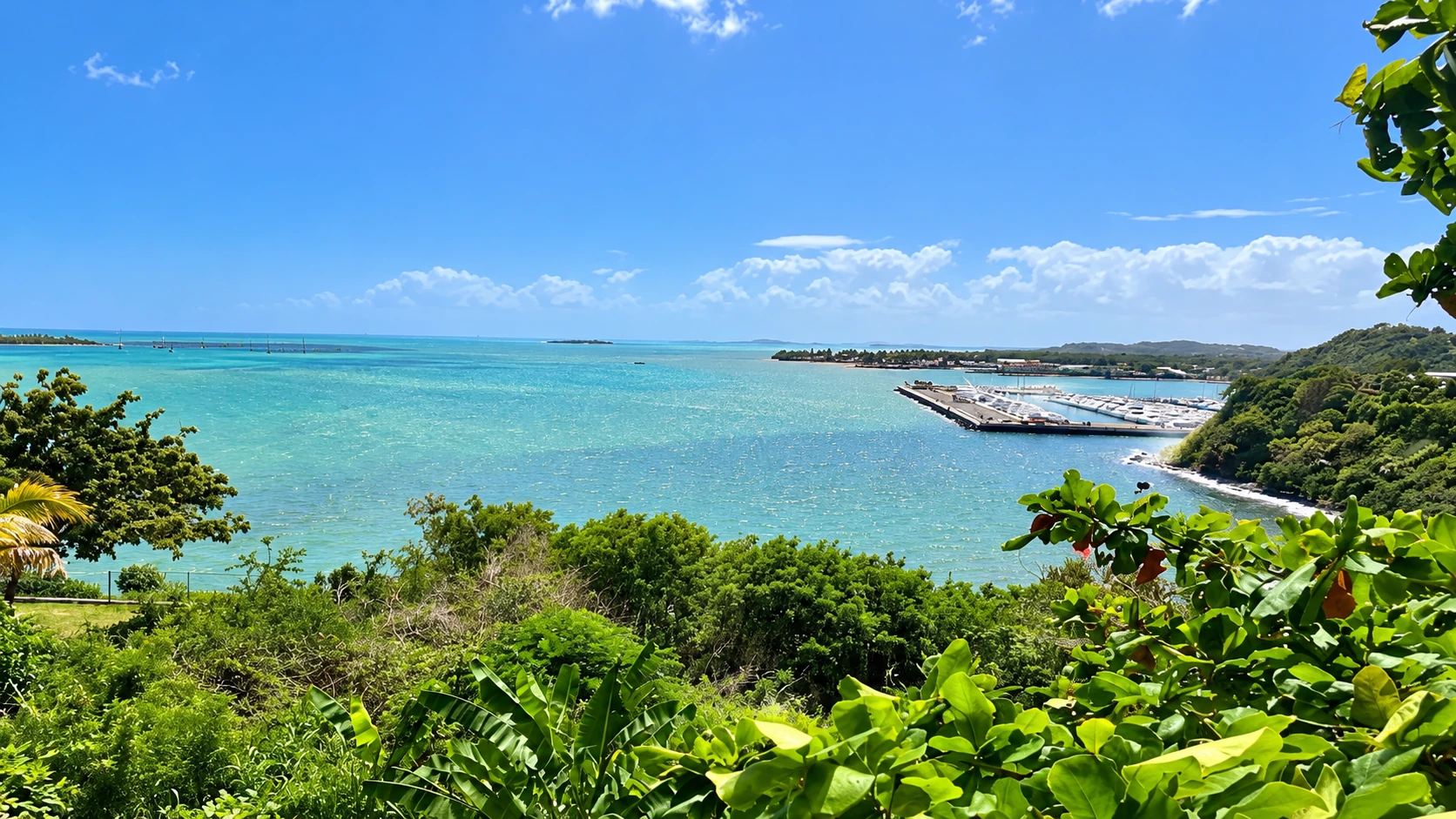 Vista alterna de la costa y marina