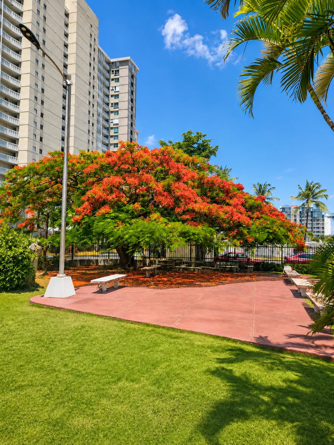 Jardines y terrenos comunales